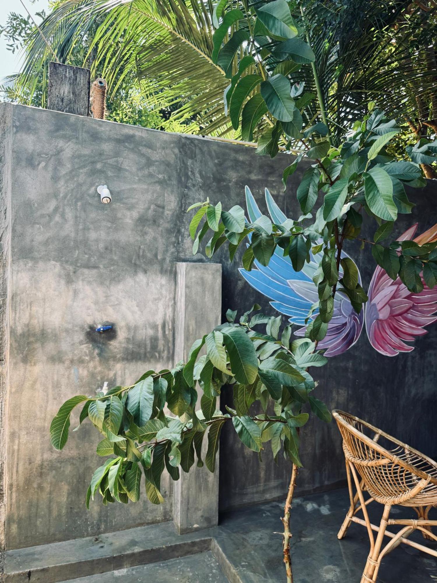 Dreamy Hostel Arugambay Arugam Bay Exterior photo