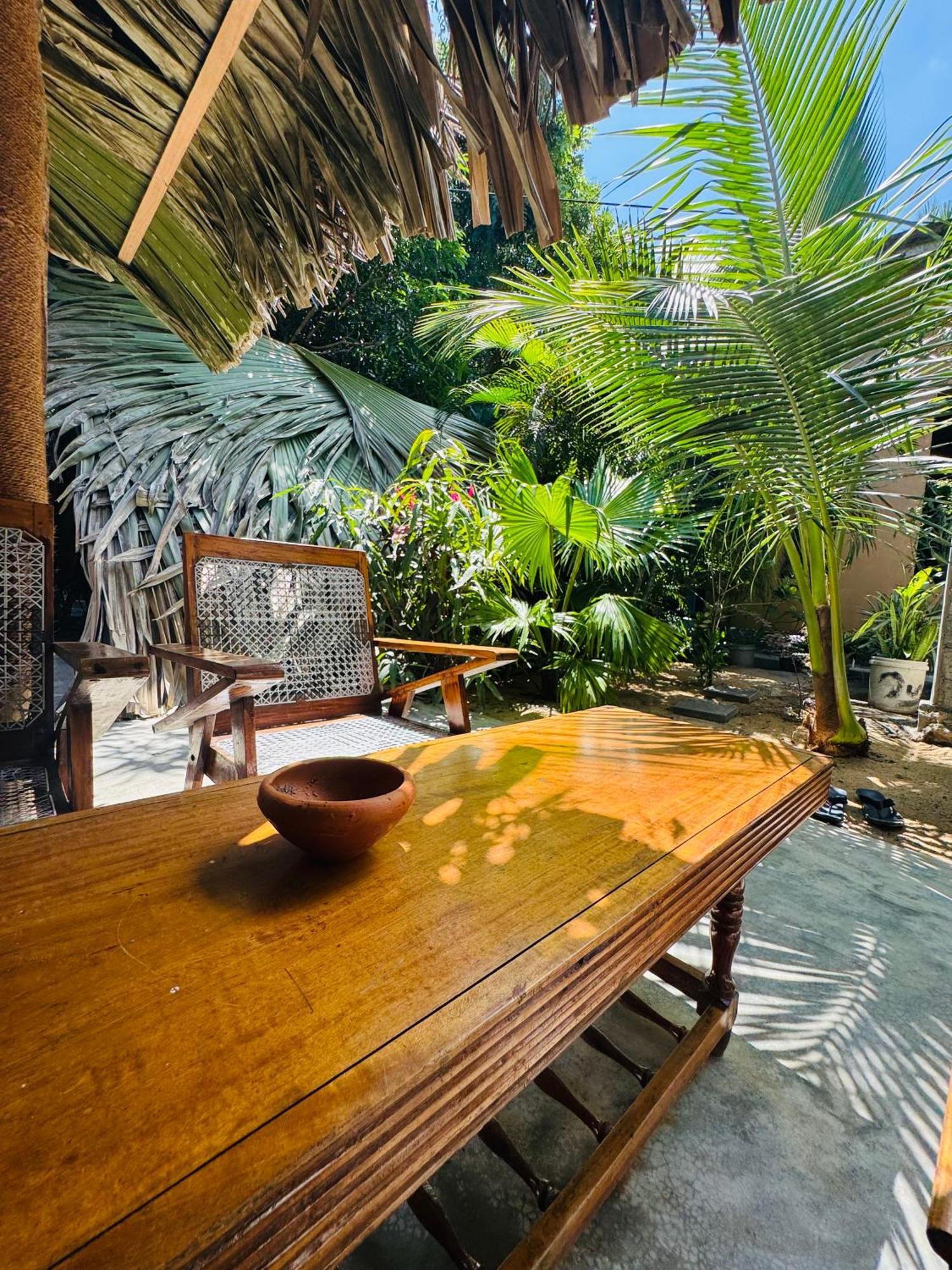 Dreamy Hostel Arugambay Arugam Bay Exterior photo