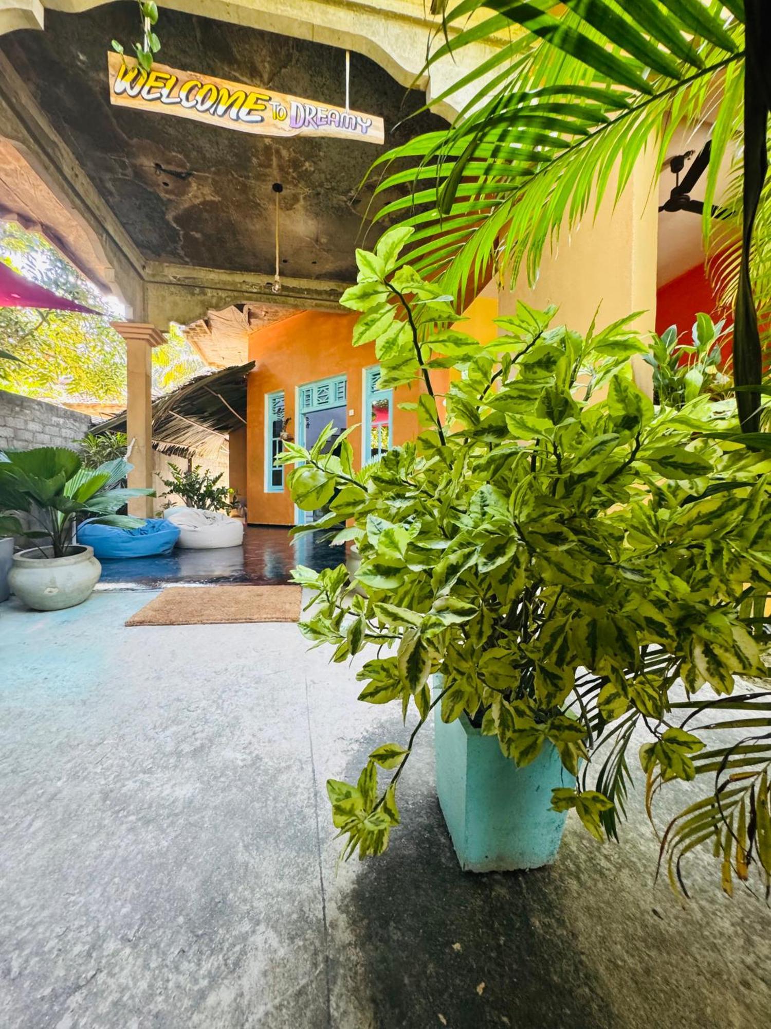 Dreamy Hostel Arugambay Arugam Bay Exterior photo