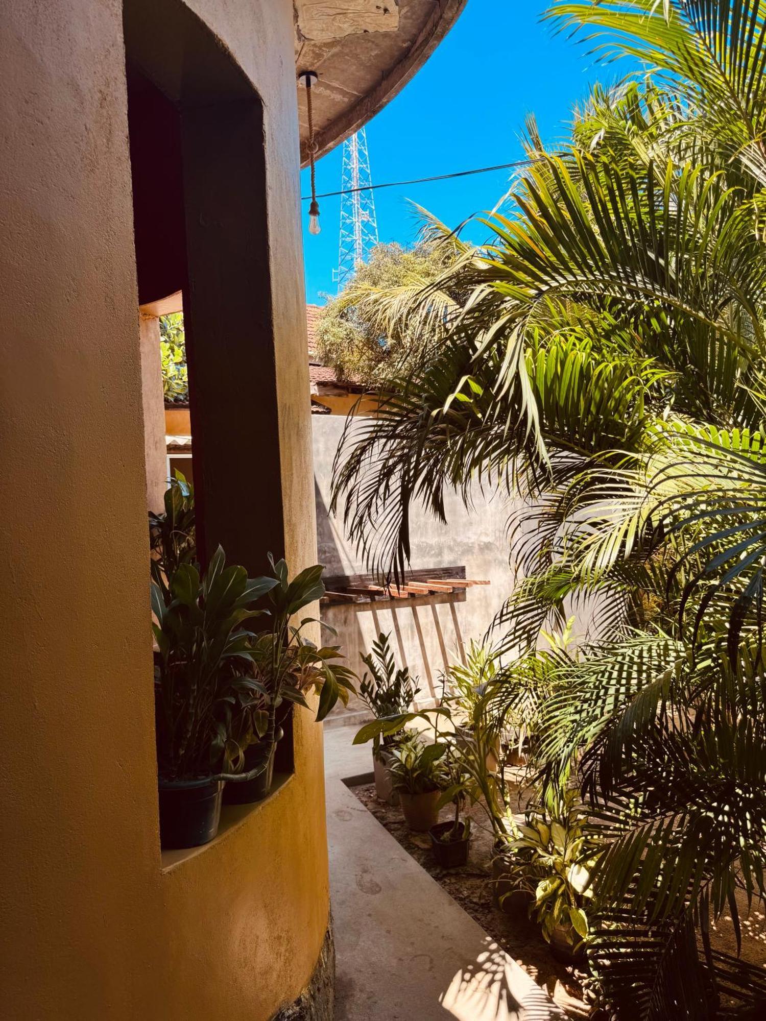 Dreamy Hostel Arugambay Arugam Bay Exterior photo